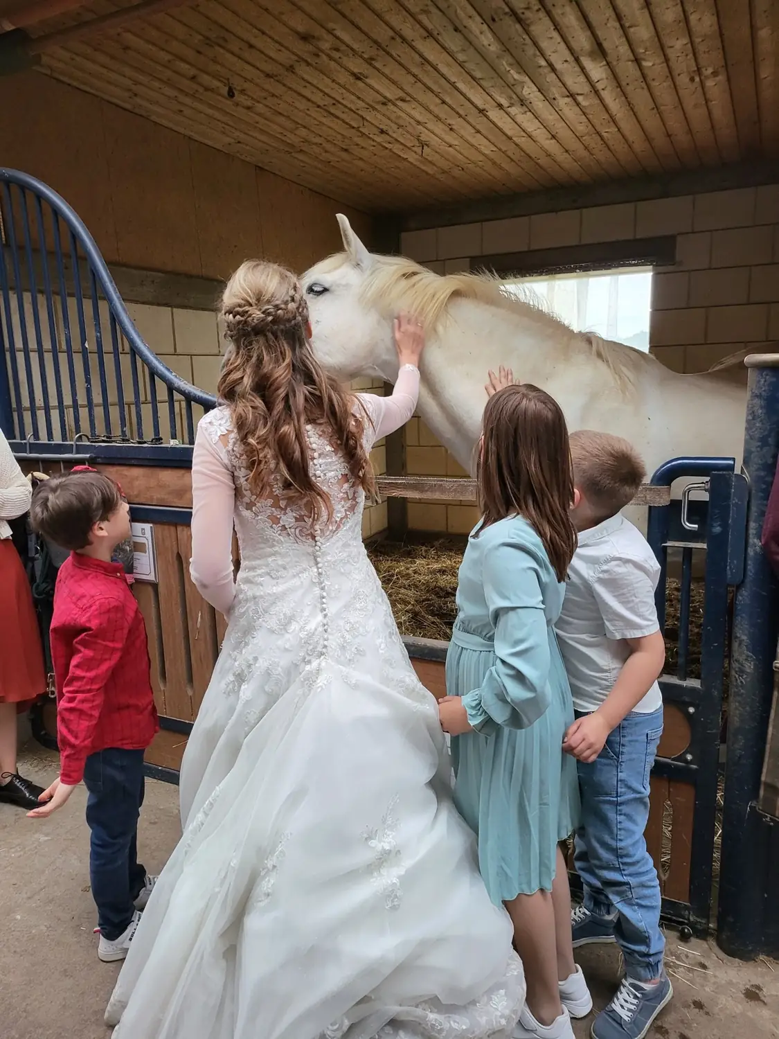 Braut im Spitzenkleid begrüßt einen Schimmel in der Box, daneben streicheln drei Kinder das Pferd