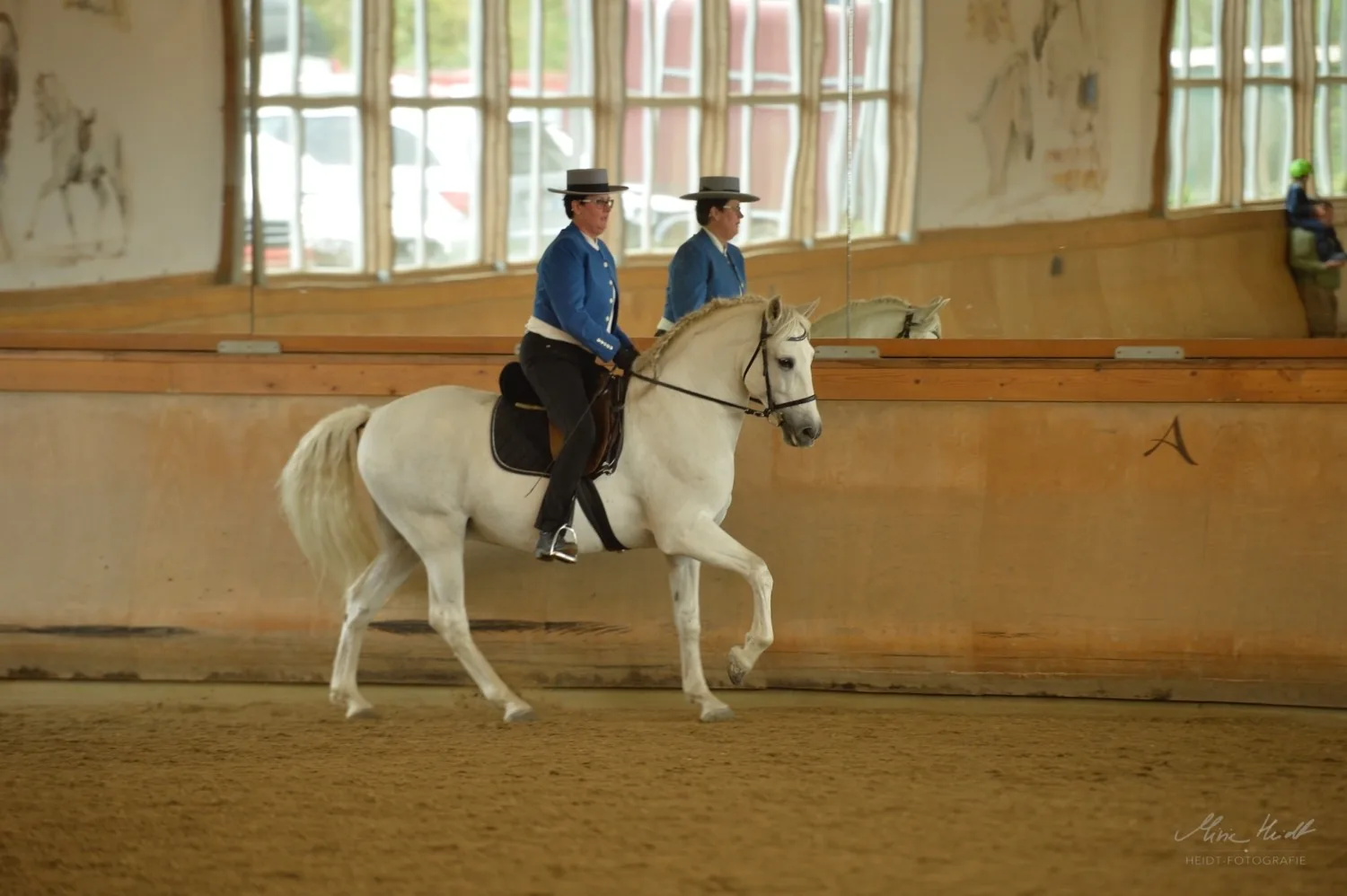Reiterin in blauer Jacke und flachem Hut reitet einen Schimmel im versammelten Trab durch die Reithalle