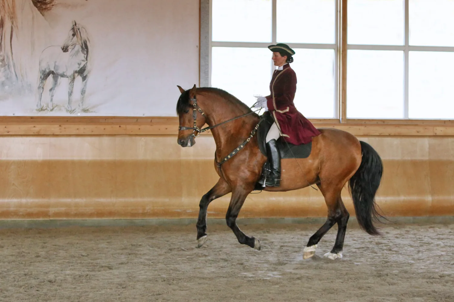 Reiterin im weinroten Barockrock und Dreispitz reitet einen Braunen in der Reithalle