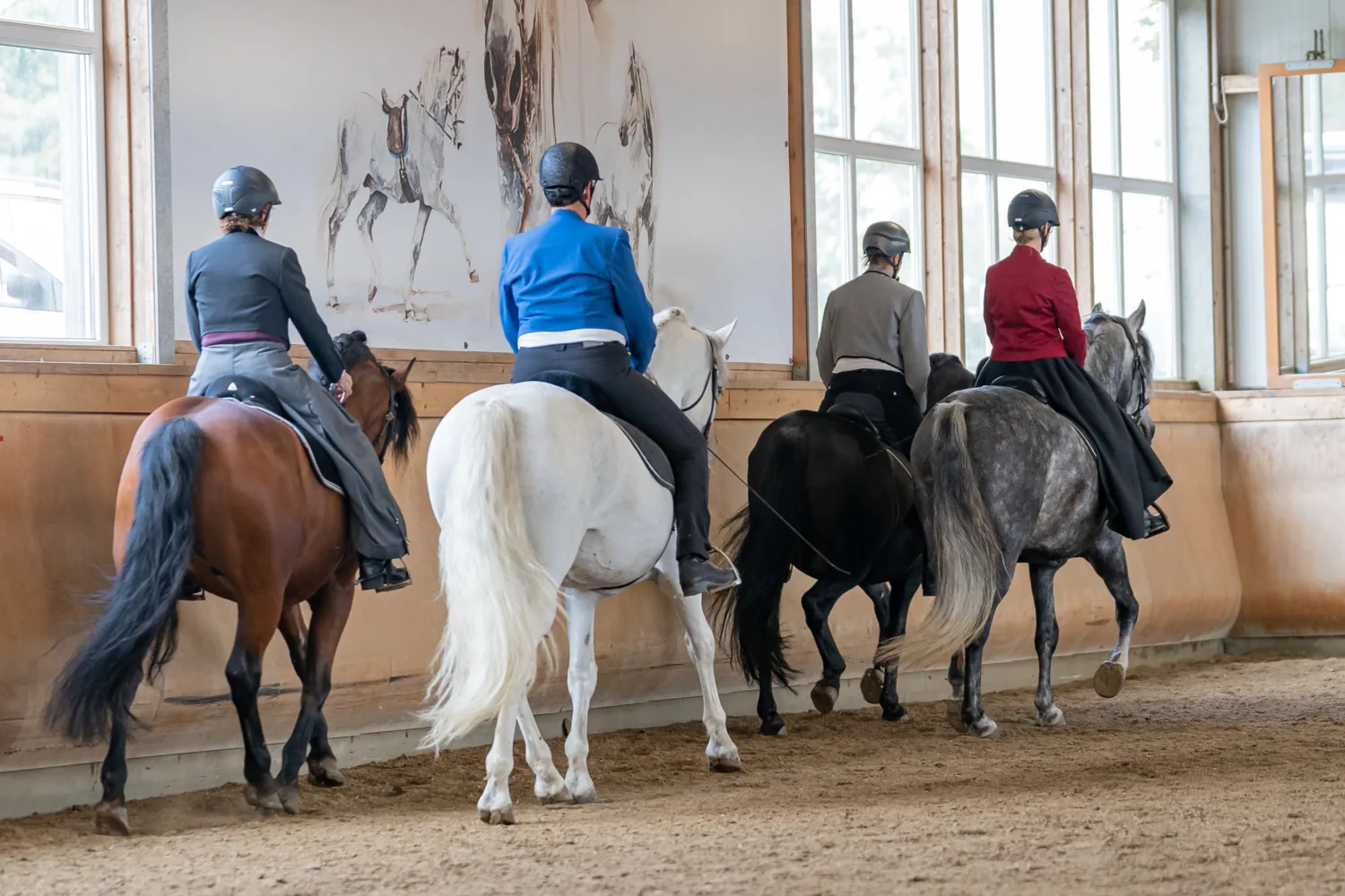 Vier Reiterinnen reiten im Unterricht an der Bande der Reithalle vor einem großen Pferdegemälde