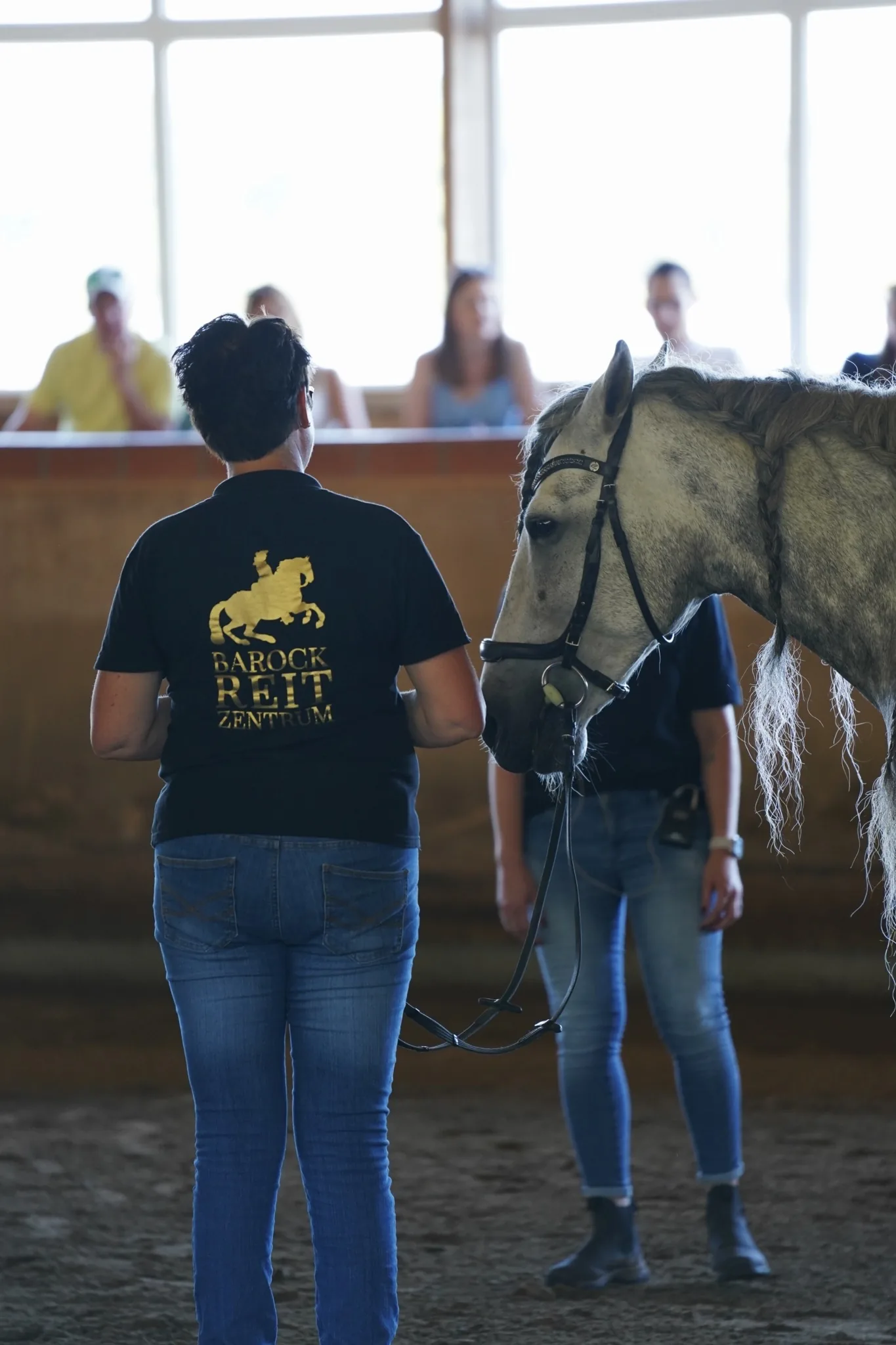 Reitlehrerin im Polohemd des Barockreitzentrums führt einen Schimmel in der Reithalle vor Zuschauern