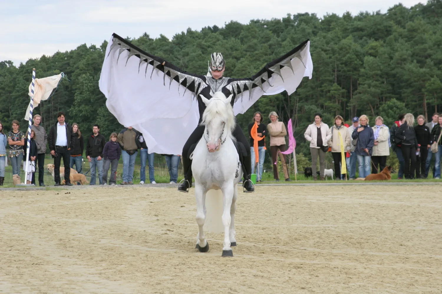 Reiterin in einem Kostüm mit ausgebreiteten Flügeln auf einem Schimmel vor Zuschauern auf dem Sandplatz