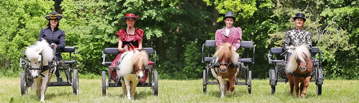 Vier Fahrerinnen in historischen Kostümen mit Ponygespannen nebeneinander auf der Wiese