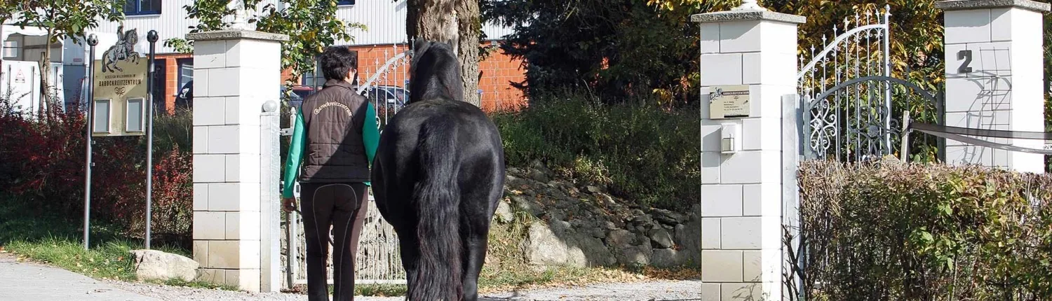 Person führt ein schwarzes Pferd durch das offene Hoftor mit steinernen Pfeilern und Hofschild