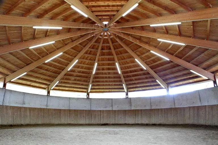 Blick in den überdachten Roundpen mit sternförmigem Holzdachstuhl und ebenem Sandboden