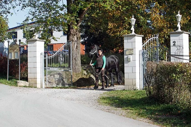 Frau führt einen Rappen am Strick durch das schmiedeeiserne Hoftor des Barockreitzentrums